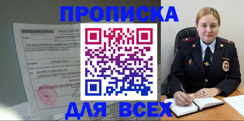 прописка поиск в Курске